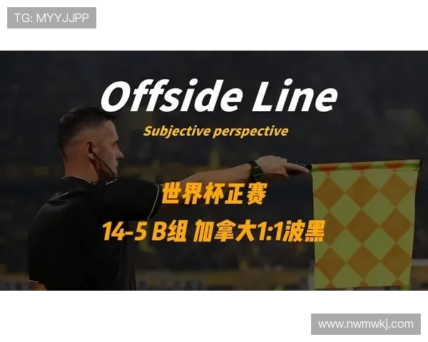 加拿大1-1波黑：世界杯小组赛首轮战报回顾